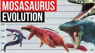 Mosasaurus Evolution 1970 - 2022 | Jurassic Evolution, Jurassic World Dominion