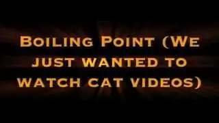 Boiling Point (we just wanted to watch cat videos)