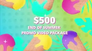 Lead Lamp Media's $500 Video Summer Special!