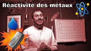 R&eacute;activit&eacute; des METAUX