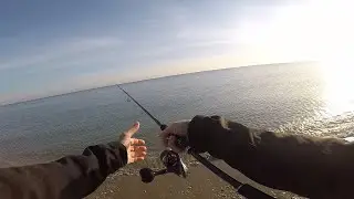 Spigola a Spinning attacco acrobatico - Seabass Spinning acrobatic attack