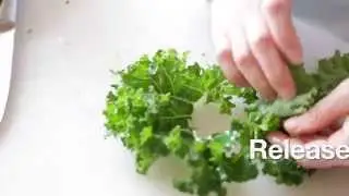 Abbey Gardens Tip 2: Kale Tips and Tricks