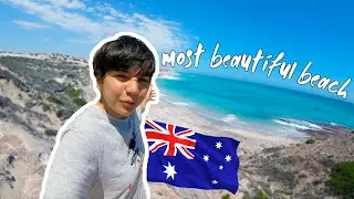 Most Beautiful Beach in Australia! (Road-trip Day 5) | Vlog 33