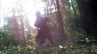 Tomo-ryu Shinobijutsu - Ninja training