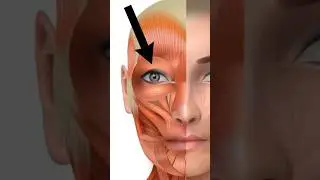 Why Starfield NPCs look so creepy