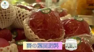 Japan AOIBA and world agriculture