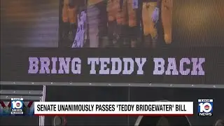 Senate passes 'Teddy Bridgewater bill'
