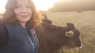 Crowdfunder: Jess's Ladies and Calves need YOU !
