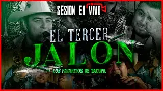 El Tercer Jalon - Los Pajaritos de Tacupa (SESION EN VIVO 🔴)