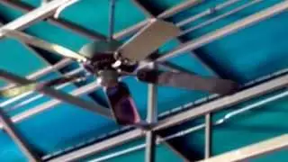 Litex All Weather ceiling fan.