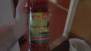 Cleaning The Floor With Rex Creolina Pino Aroma