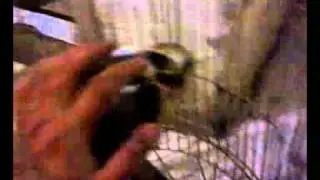 15042011002