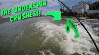 DESTROYING Bass on the Hocking River with an underspin! (Incredible Day)(Fish Ohio Hybrid Striper!)