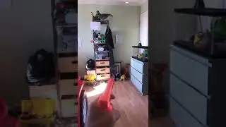 Nerf jolt tactical reload