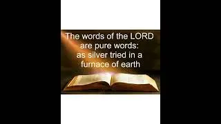 New 2026 Bible Gospel Hymn - My Words Shall Not Pass Away #music #bible #christian
