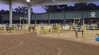 Rory Amos & Firewaters Fast Cash 12/6/24 Pac West Barrel Race