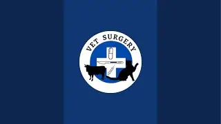 Vet Surgery is live