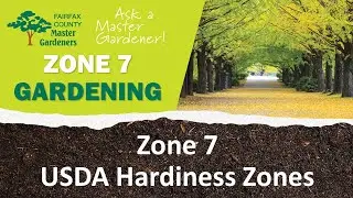 Zone 7 Hardiness