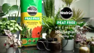 Miracle-Gro&reg; Peat Free Houseplant Compost | 3-Month Feed & Strong Root Growth