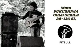 Pitbull Bass Strings : Moto FUKUSHIMA Demo Gold SERIES 30-125 SL