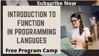Introduction to Functions | How to Use Functions | Functions in PROGRAMMING | FreeProgramCamp