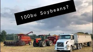 Ep 33: Mowing Down Soybeans