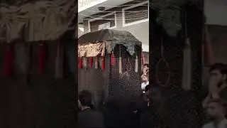 Chup Tazia Zayrat ❤️❤️😭😭 #chuptaziazyrat #islamic #shiamajlis