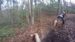 Cornerstone Ranch trail ride !!!