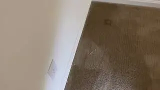 Crunchy empty room natural after renovation ✨