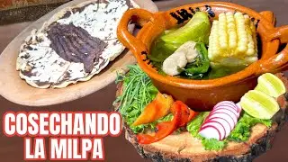 EXQUISITO CALDO DE GUIAS OAXAQUEÑO SABOR Y TRADICIÓN DE MI PUEBLO / #ConSaborAMexico