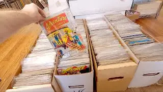Did I Spend too much on 4 Long Boxes of 1990s  Comics?