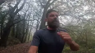Henley Park run | #351 15nov 2025