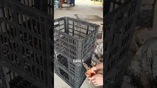 Недорогой курятник, сделанный из выброшенных ящиков из-под фруктов.