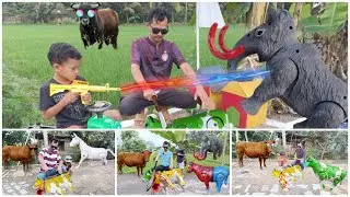 AMAZING 5 EPISODE -  EDISI WADIDAU ‼️PROSES POTONG SAPI MOO KURBAN