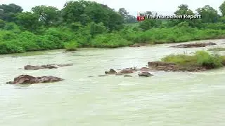 BUI DAM