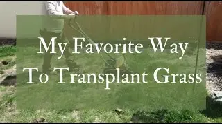 Gardening - my favorite way to transplant grass