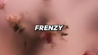 Frantic Love - MrVexsa (Official Music Video)