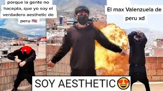 LOS PERUANOS QUE SE CREEN AESTHETIC