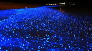 VIAJE a MEXICO #18 | Bioluminiscencia, Isla de Holbox (Quintana Roo)