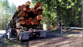 Life of a logger, 1/2 Century in Timber Industry. Logging way of life in Pacific NW Washington