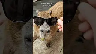 #ai #capybara #cute #cutevideo #cutecapybara