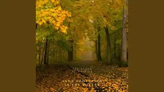 Nature Sounds &ndash; Footsteps