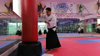 free style randore || aikido aikikai