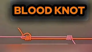 Blood Knot &ndash; Strong & Clean Fishing Line Connection 