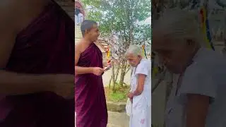 අවුරුදු 94 ආච්චිගේ ආදරය ගෞරවය