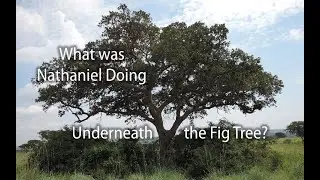 What was Nathaniel doing underneath the fig tree?