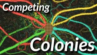 Ant Simulator 2 - Multiple Colonies