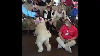 WATCH: Cincinnati therapy dog named 2022 Cadbury Bunny visits retirement home