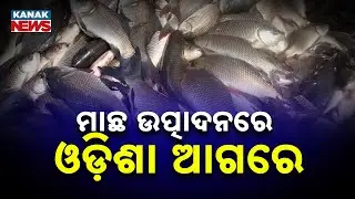 Odisha's Fish Production Surpasses 11.23 Lakh Metric Tons; Exports Reach 298,000 Metric Tons
