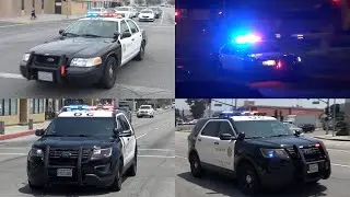 LASD 